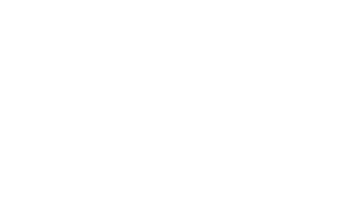 MSV